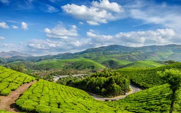 kerala munnar tour packages